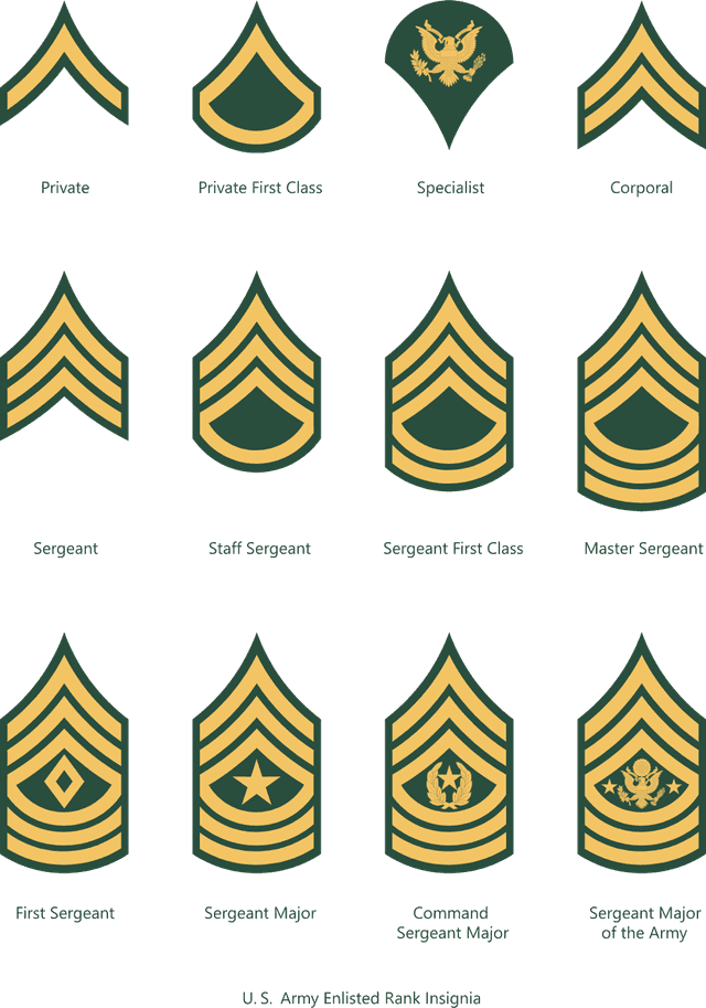 U. S. Army Enlisted Rank Insignia Logo download
