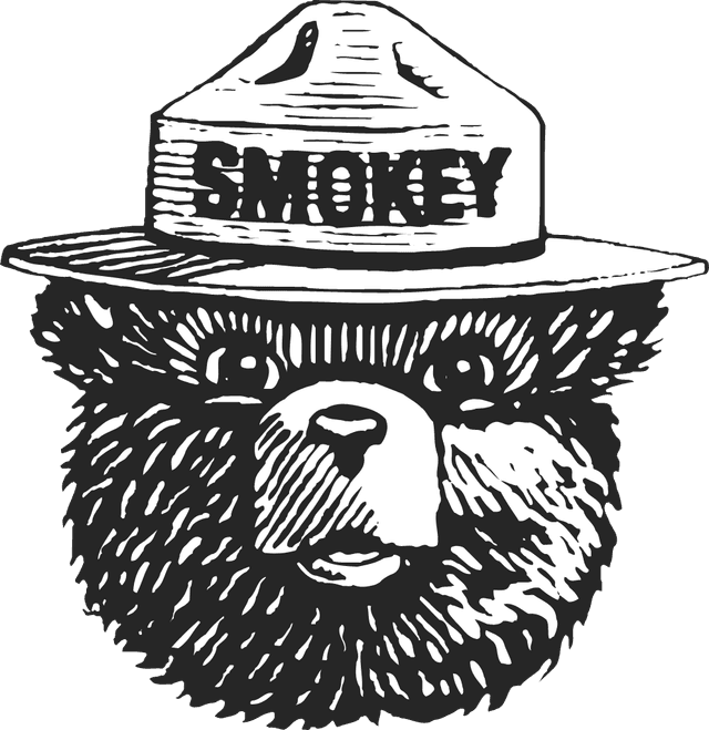 Smokey the Bear Logo download