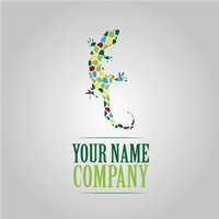 Colors gecko Logo Template download