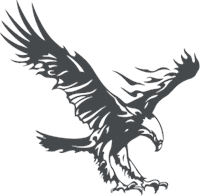 Eagle Logo Template download