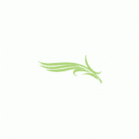 Diera Palm Logo download