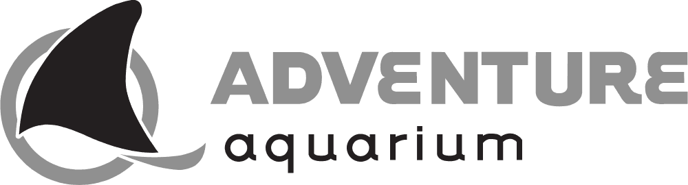 Adventure Aquarium Logo download