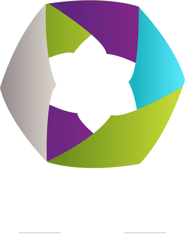 asymmetric star inside hexagon company Logo Template download