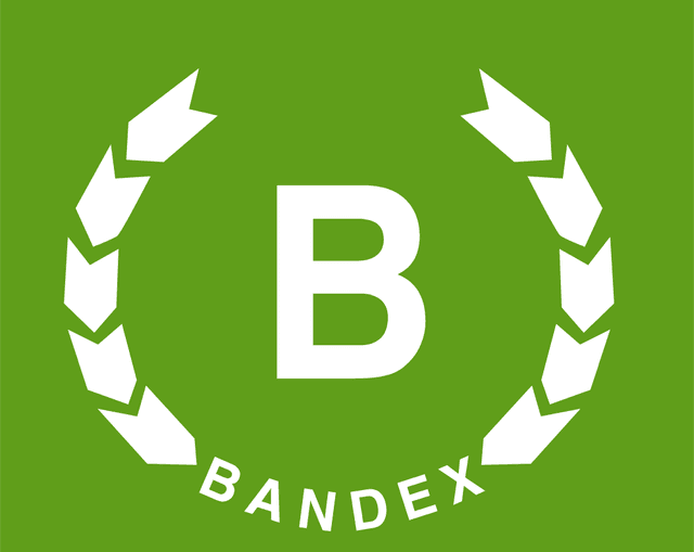Bandex Logo download