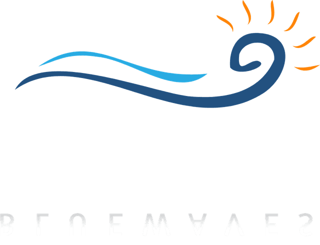 Blue Waves Logo Template download