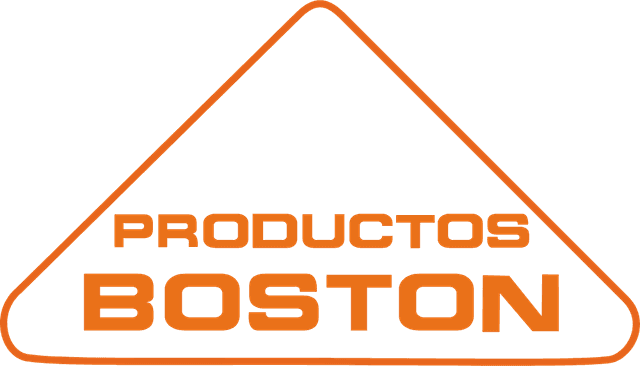 Boston Logo download