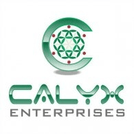 Calyx Anterprises Logo download