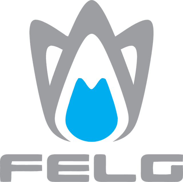 Felg Software Logo download