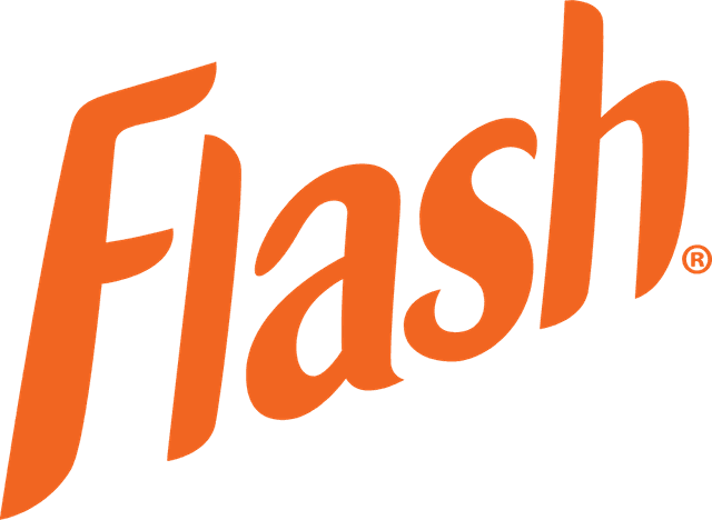 Flash Logo download
