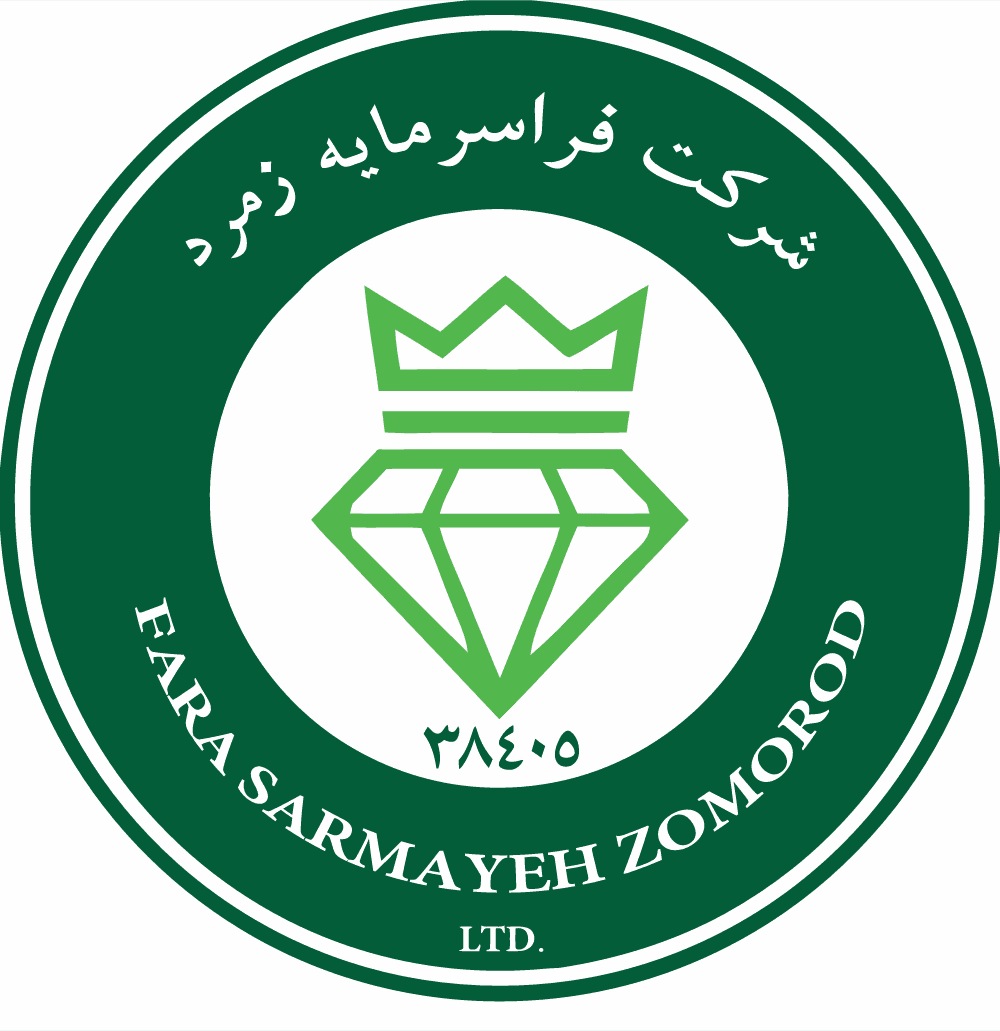 FSZ co. Logo download