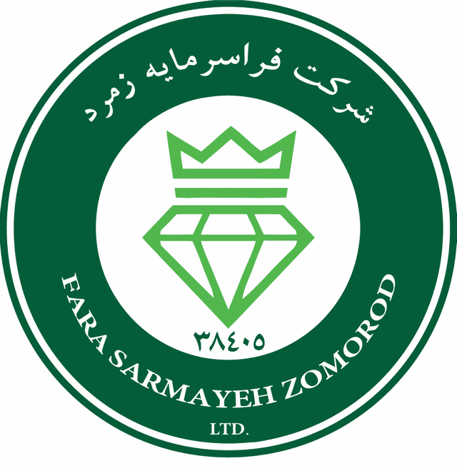 FSZ co. Logo download