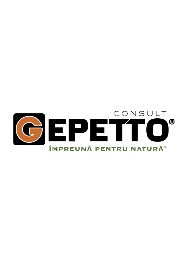 Gepetto Consult Logo download