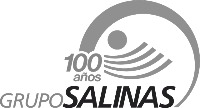 Grupo Salinas 100 años Logo download