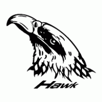 hawk Logo download