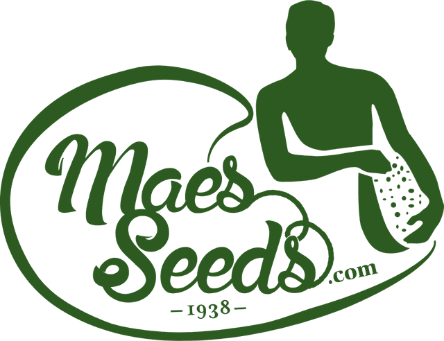 Maes Seeds Logo download
