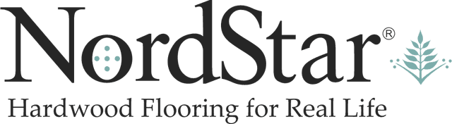 NordStar Logo download