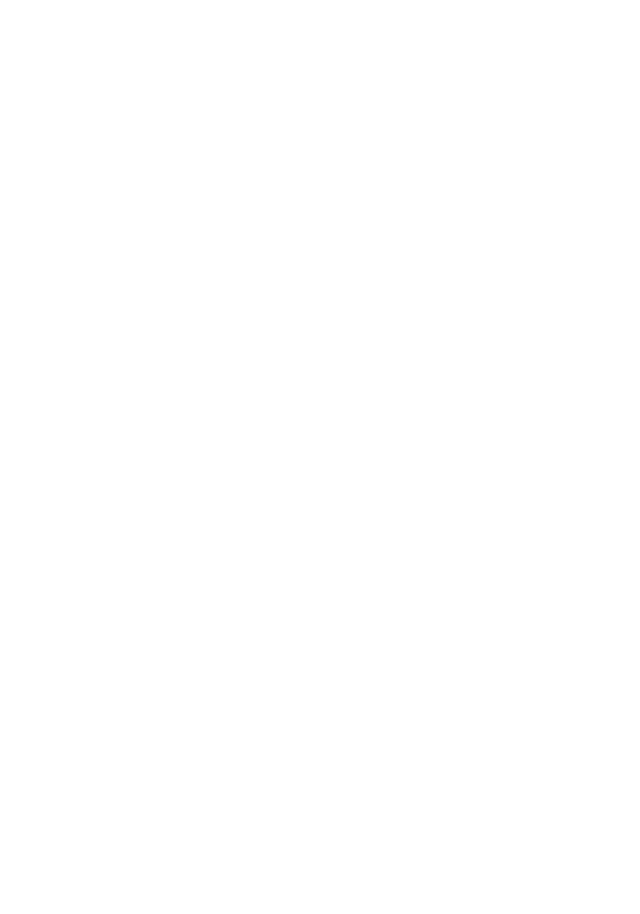 Van Duyvenbode Bestratingen Logo download
