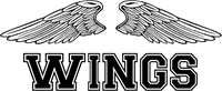 WINGS CUSTOM TEAM DESIGN Logo Template download
