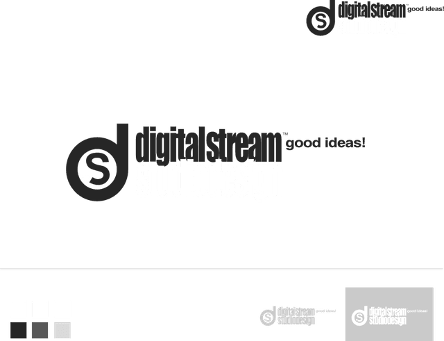 Digital Stream Studio Logo download