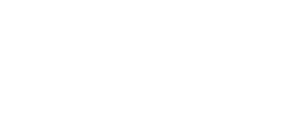 PlatinumTel Wireless Logo download