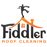 Fiddler Logo download