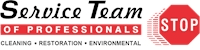 Service Team of Professionals Logo download
