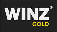 Winz Electrodes Gold Logo download