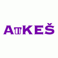 Akes Logo download