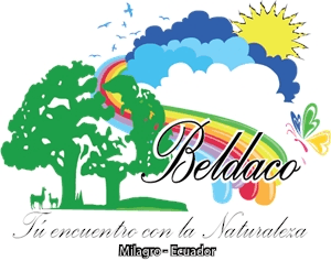 Beldaco Logo download