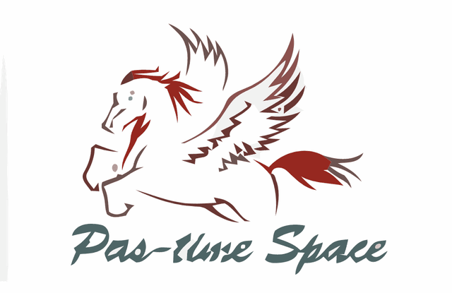 Pas-time Space Logo download