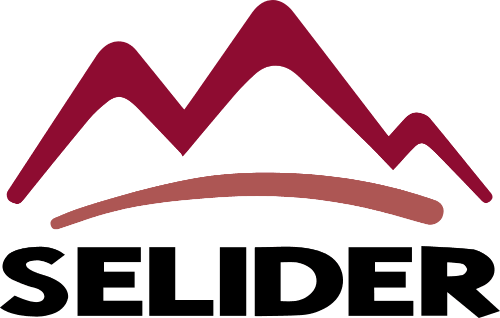 Selider Logo download