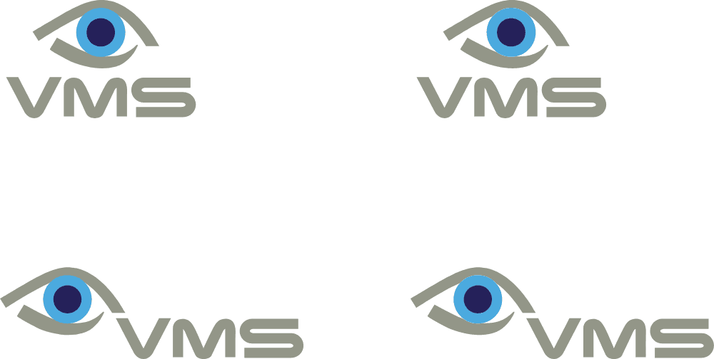 VSM Visual Management Systems Logo download