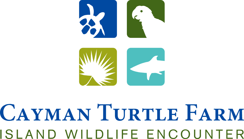 Cayman Turtle Farm Logo download