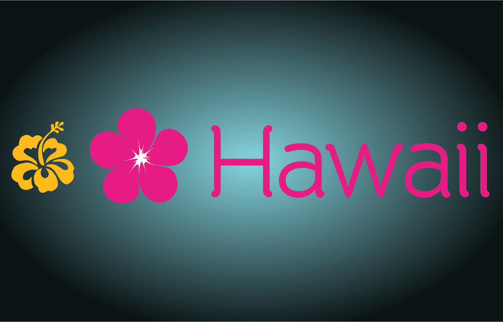 Florish Hawaii Logo Template download