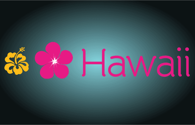 Florish Hawaii Logo Template download