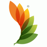 RACE_clean energy Logo download