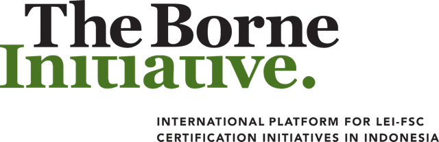 The Borne Initiative Logo download