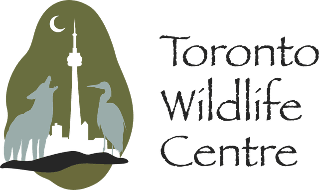 Toronto Wildlife Centre Logo download