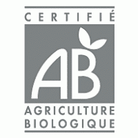 AB Logo download