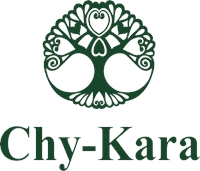 Chy - Kara Logo download