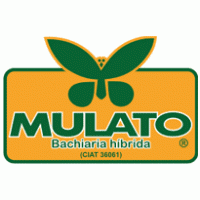 Mulato Logo download