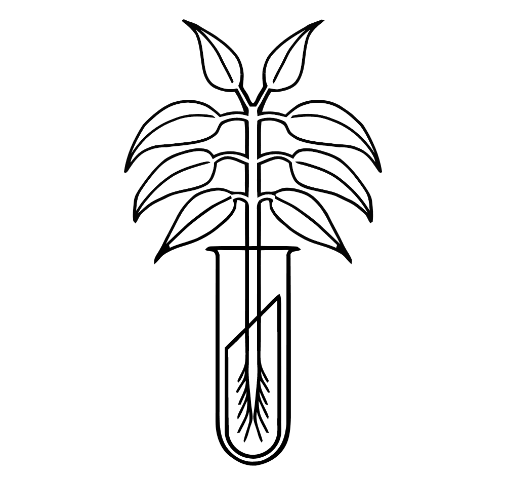 New York Botanics LLC Logo download