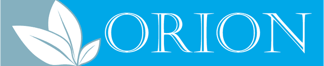 Orion Logo download
