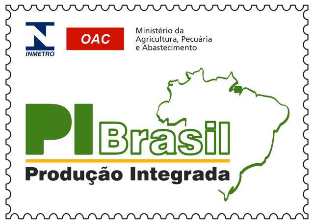Produçao Integrada Logo download