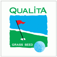 qualita Logo download