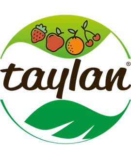Taylan Logo download