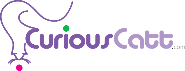 CuriousCatt Boutique Logo download