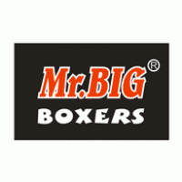 Mr.BIG Logo download