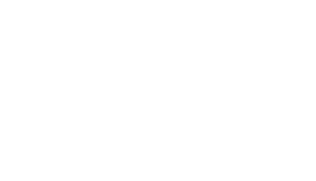 Ankura Capital Logo download