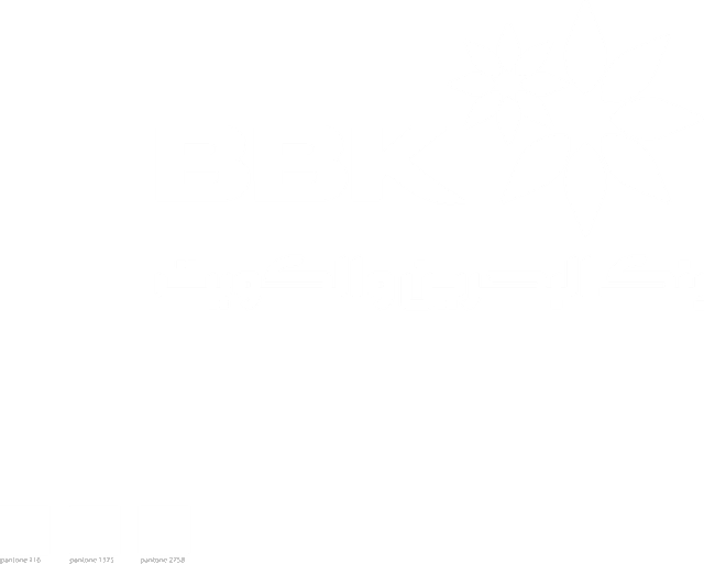 BBK Logo download